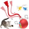 YEVYO Interactive Cat Ball Toy with LED Lights & Bird Chirping Sound Motion Activated for Indoor Cat